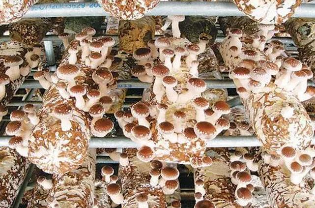 圖片關(guān)鍵詞 圖片關(guān)鍵詞