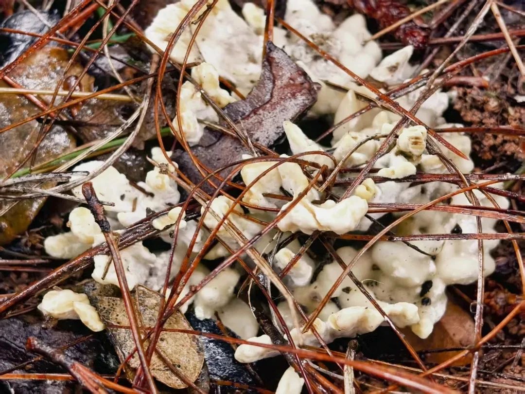 圖片關(guān)鍵詞