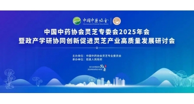 行業(yè)動態(tài)