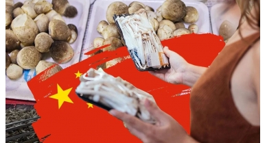 行業(yè)動態(tài)