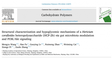 行業(yè)動(dòng)態(tài)
